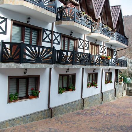 Casa Albert Sinaia Exterior photo